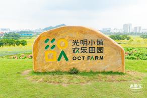 2020光明小镇欢乐田园