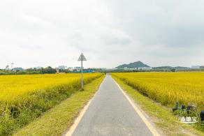 2020光明小镇欢乐田园