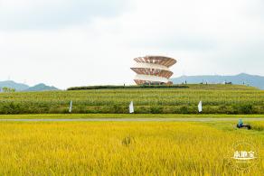 2020光明小镇欢乐田园