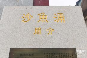 沙鱼涌