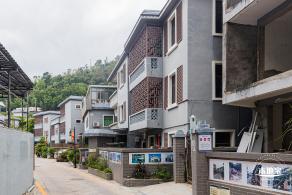 沙鱼涌