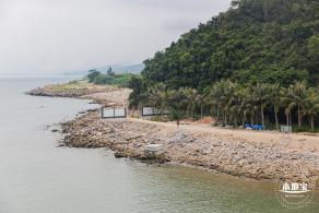 沙鱼涌