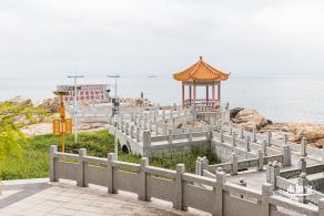 沙鱼涌