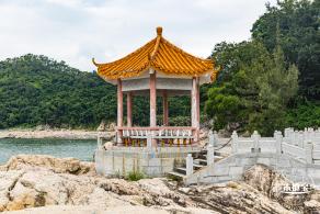 沙鱼涌