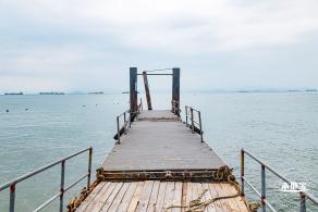 沙鱼涌
