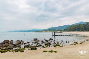 沙鱼涌