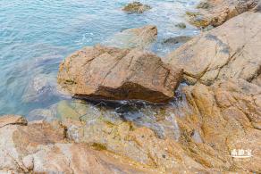 沙鱼涌