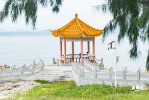 沙鱼涌