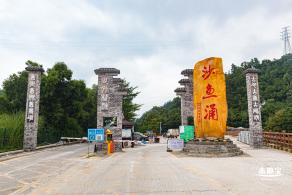 沙鱼涌