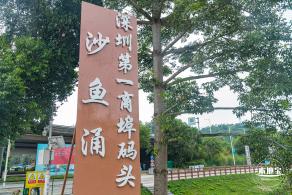 沙鱼涌