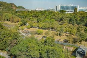 坪山区中心公园