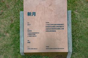 坪山区中心公园