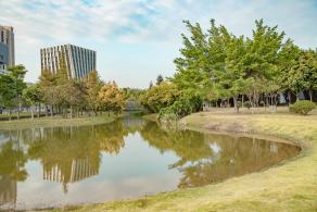 坪山区中心公园