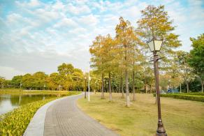 坪山区中心公园