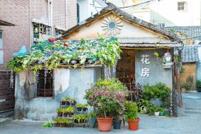 上围艺术村