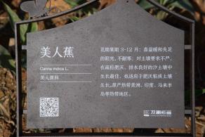 观澜版画村