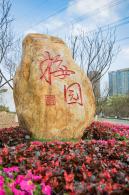 深圳梅园