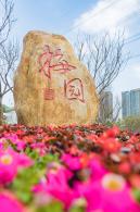 深圳梅园