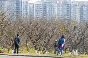 深圳梅园