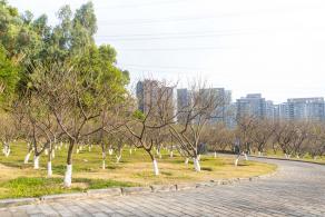 深圳梅园