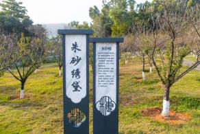 深圳梅园