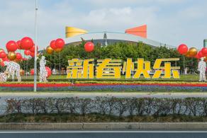 市民中心向日葵