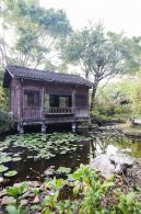 深圳国际园林花卉博览园