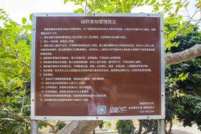 金龟露营小镇