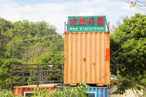 金龟露营小镇