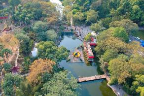 2019深圳菊花展