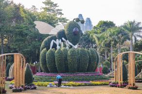 2019深圳菊花展