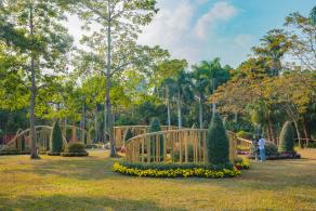 2019深圳菊花展