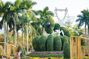 2019深圳菊花展