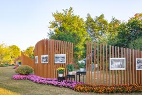 2019深圳菊花展
