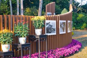 2019深圳菊花展