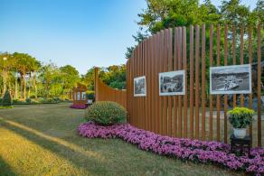 2019深圳菊花展