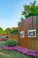 2019深圳菊花展