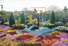 2019深圳菊花展