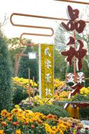 2019深圳菊花展