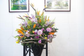 2019深圳菊花展
