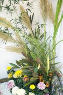 2019深圳菊花展