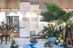 2019深圳菊花展