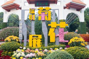 2019深圳菊花展