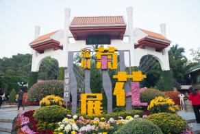 2019深圳菊花展