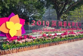 深圳簕杜鹃花展