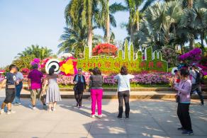深圳簕杜鹃花展