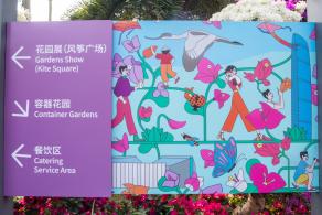 深圳簕杜鹃花展