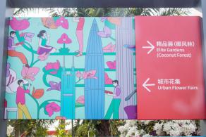 深圳簕杜鹃花展