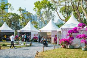 深圳簕杜鹃花展