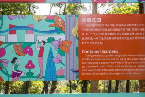 深圳簕杜鹃花展